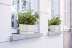 greenville long 70cm blanc